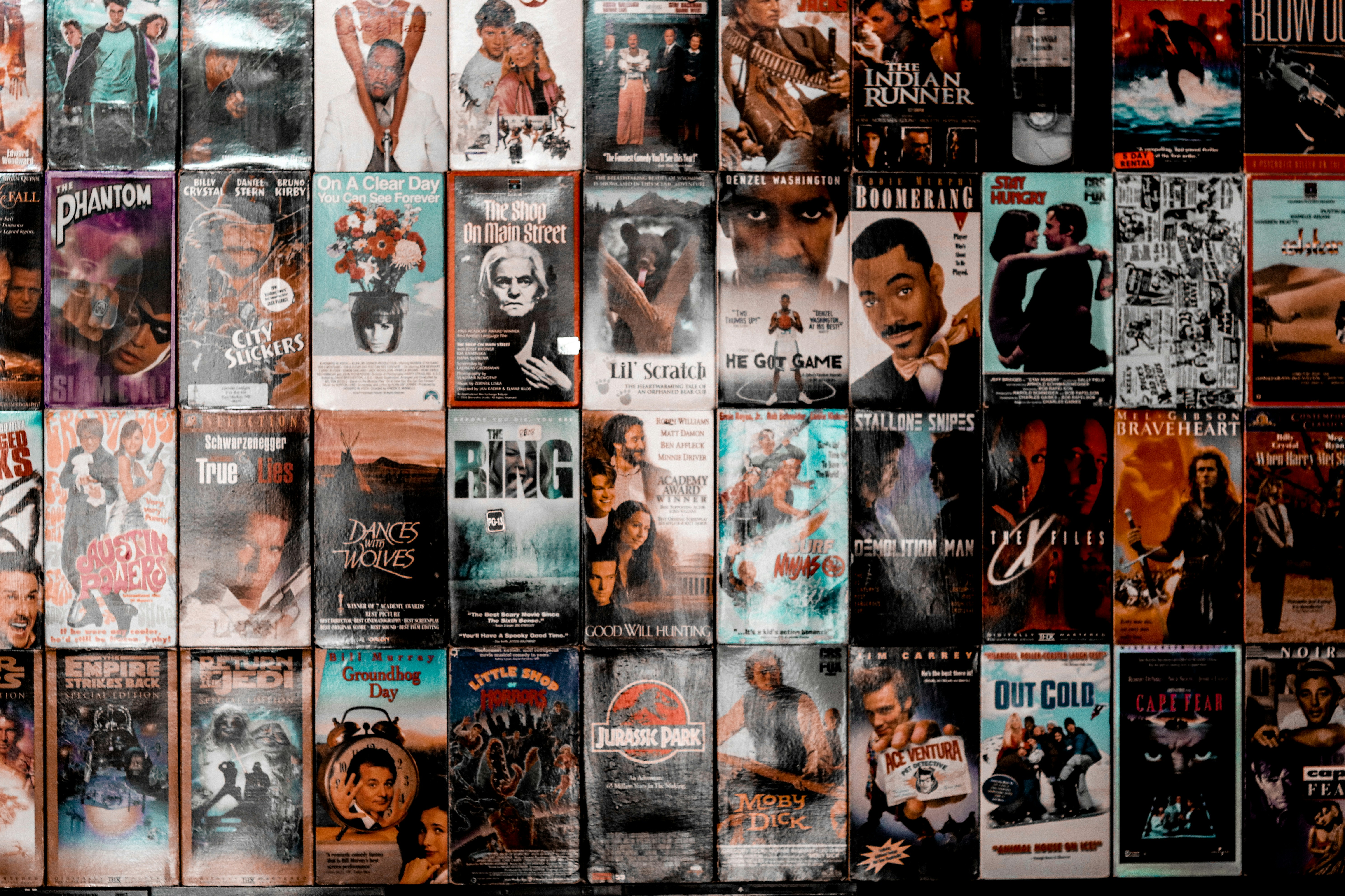 Documentary - The Canvas Motif portfolio